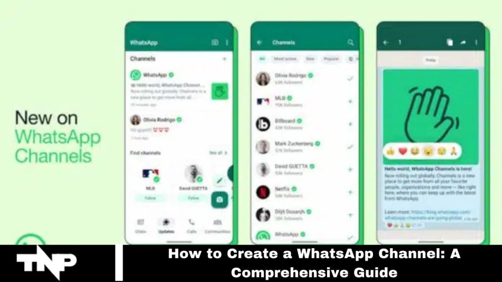 WhatsApp Channel