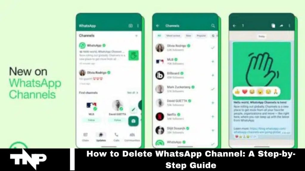 WhatsApp Channel